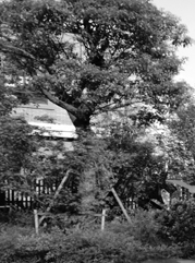 津南注册公司